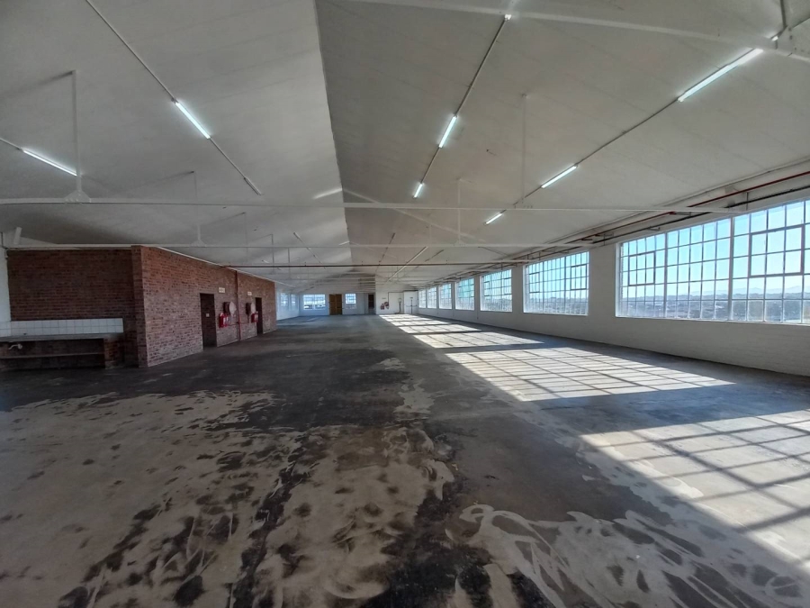 To Let commercial Property for Rent in Diep River Western Cape